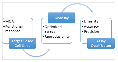 Figure 1. Flow schematic of Eurofins DiscoverX’s bioassay development.